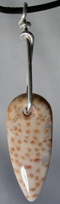 Valentines-day-gifts Petrified